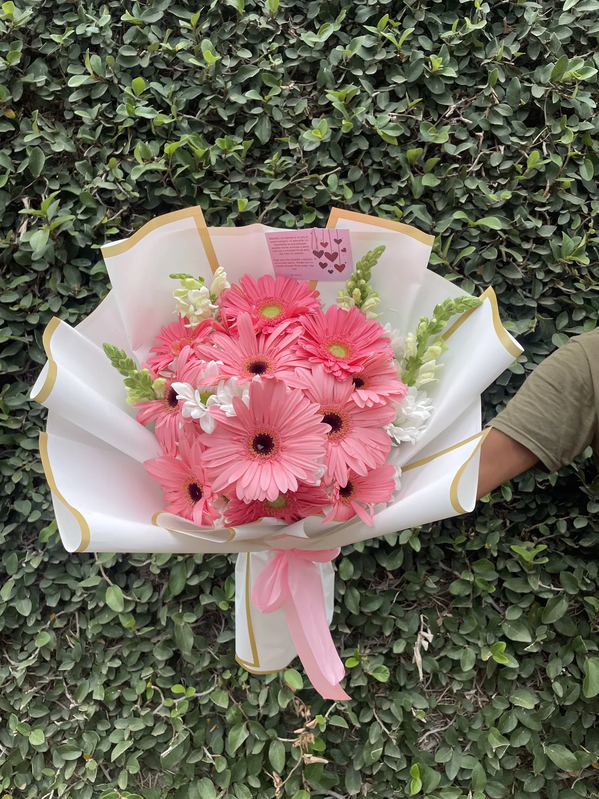 Ejemplo de Gerberas